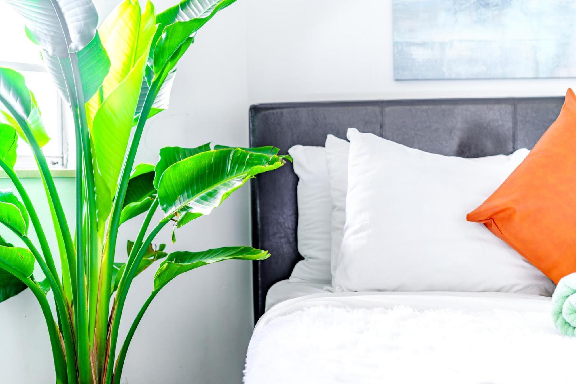 Апартаменти Short North Convention Private Parking Pets Колумбус Екстер'єр фото